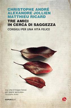 Tre amici in cerca di saggezza