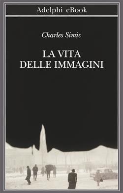La vita delle immagini