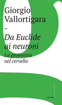 Da Euclide ai neuroni