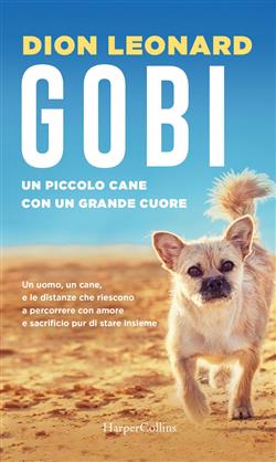 Gobi. Un piccolo cane con un grande cuore