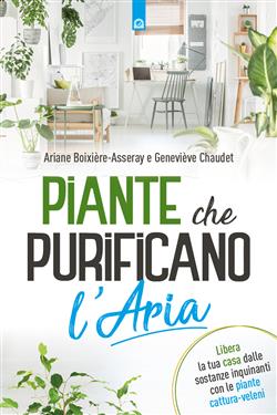 Piante che purificano l'aria