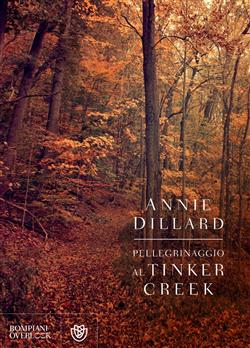 Pellegrinaggio al Tinker Creek