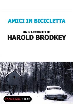 Amici in bicicletta