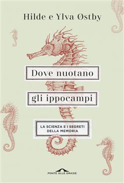 Dove nuotano gli ippocampi