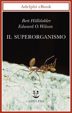 Il superorganismo