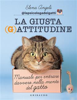 La Giusta (G)attitudine