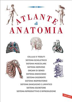 Atlante di anatomia