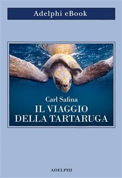 Il viaggio della tartaruga