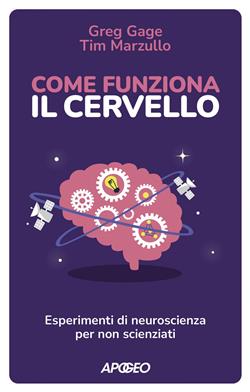 Come funziona il cervello
