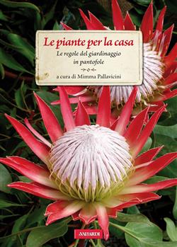 Le piante per la casa