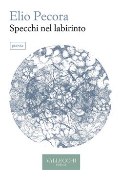 Specchi nel labirinto