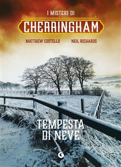 Tempesta di neve