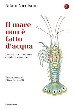 Il mare non è fatto d'acqua. Una storia di natura, creature e maree