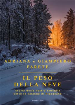 Il peso della neve