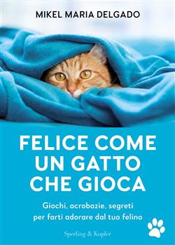Felice come un gatto che gioca