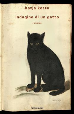 Indagine di un gatto