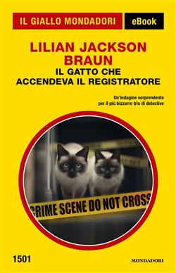 Il gatto che accendeva il registratore