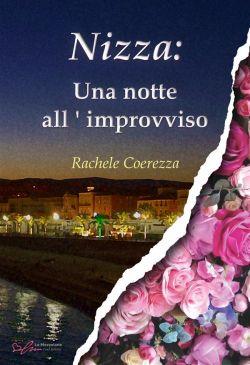 Nizza: una notte all'improvviso