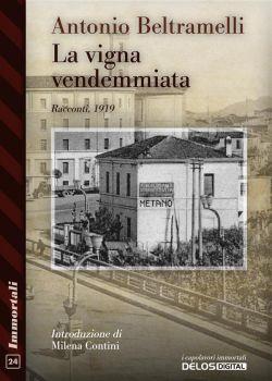 La vigna vendemmiata