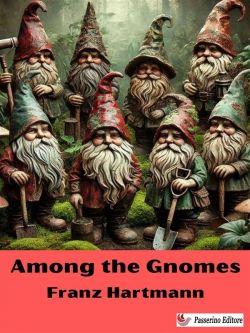 Among the Gnomes