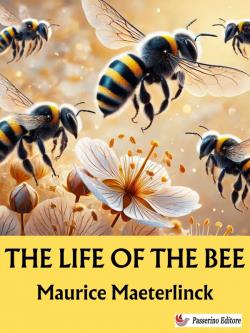 The Life of the Bee