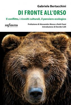 Di fronte all'orso
