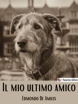 Il mio ultimo amico