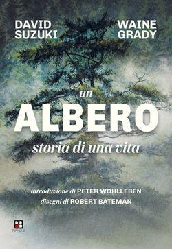 Un albero